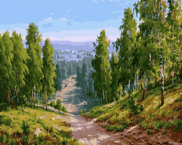 Neutralus  piešimas su skaičiais tapyba pagal numerius -   Miško takas 40x50 cm + Medinis Rėmas