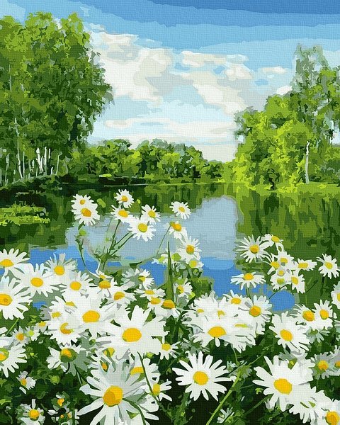 Moteriškas piešimas su skaičiais tapyba pagal numerius -   Daisy Meadow 40x50 cm + Medinis Rėmas