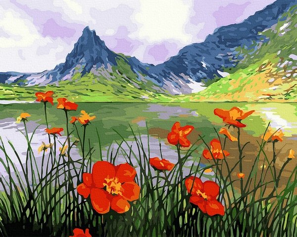 Moteriškas piešimas su skaičiais tapyba pagal numerius -   Kalnų aguonos 40x50 cm + Medinis Rėmas