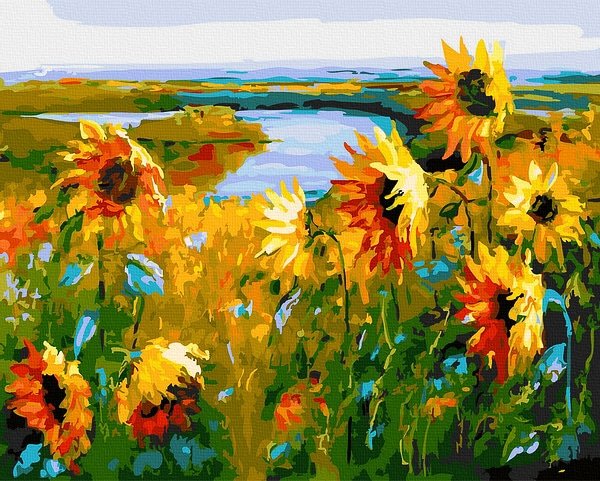 Moteriškas piešimas su skaičiais tapyba pagal numerius -   Saulėgrąžų laukas 40x50 cm + Medinis Rėmas
