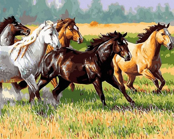 piešimas su skaičiais tapyba pagal numerius -   Šuoliuojantys žirgai 40x50 cm + Medinis Rėmas
