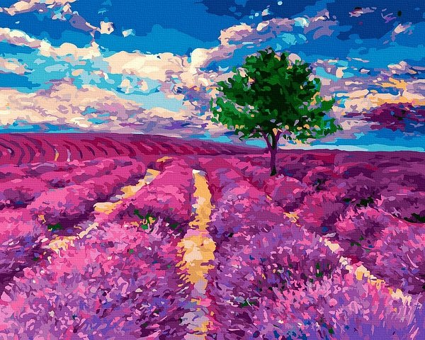 Moteriškas piešimas su skaičiais tapyba pagal numerius -   Levandų svajonė 40x50 cm + Medinis Rėmas