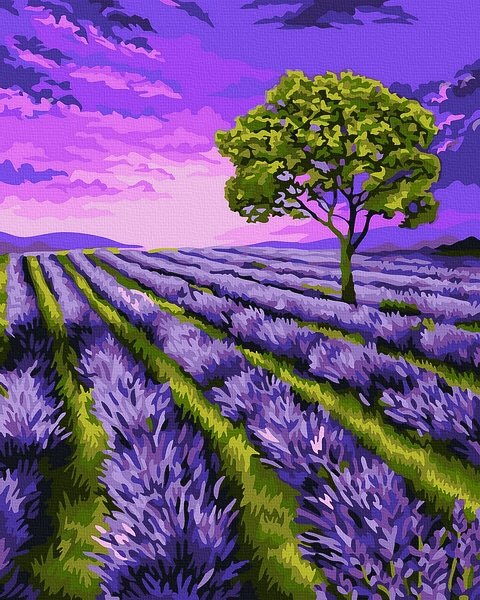 Neutralus  piešimas su skaičiais tapyba pagal numerius -   Levandų laukas 40x50 cm + Medinis Rėmas