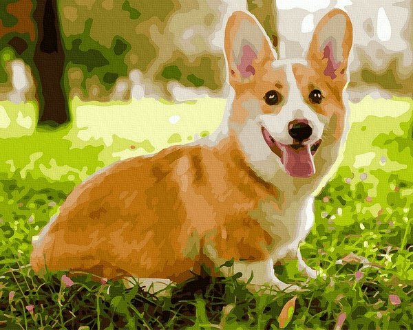 piešimas su skaičiais tapyba pagal numerius -   Žaismingas Corgi 40x50 cm + Medinis Rėmas