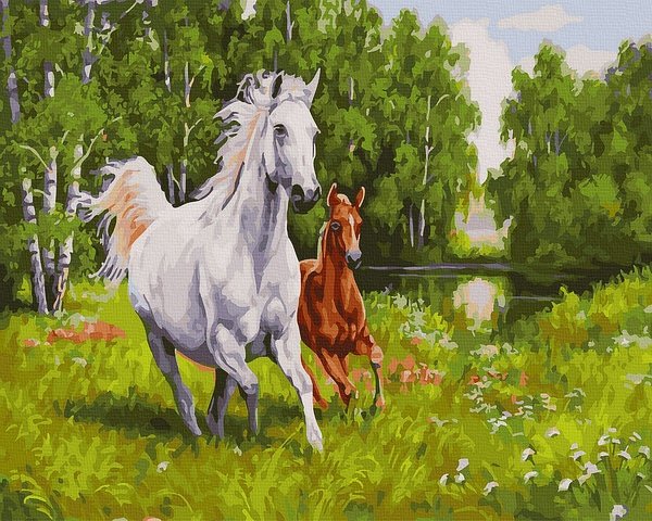 piešimas su skaičiais tapyba pagal numerius -   Šuoliuojantys žirgai 40x50 cm + Medinis Rėmas
