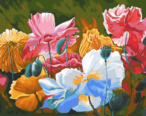 Moteriškas piešimas su skaičiais tapyba pagal numerius -   Spalvingos Gėlės 40x50 cm + Medinis Rėmas