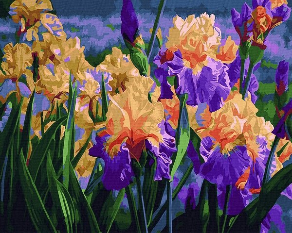 Moteriškas piešimas su skaičiais tapyba pagal numerius -   Spalvingi vilkdalgiai 40x50 cm + Medinis Rėmas