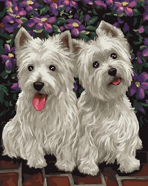 piešimas su skaičiais tapyba pagal numerius -   Westie Duo 40x50 cm + Medinis Rėmas