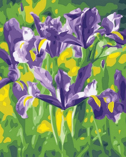 Moteriškas piešimas su skaičiais tapyba pagal numerius -   Violetiniai vilkdalgiai 40x50 cm + Medinis Rėmas