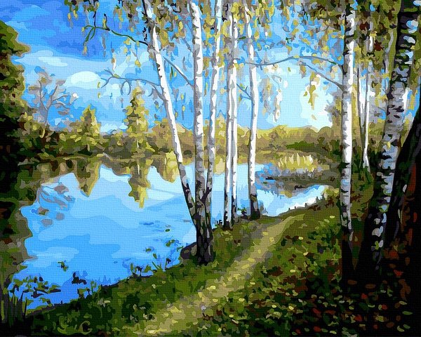 Neutralus  piešimas su skaičiais tapyba pagal numerius -   Beržų miško takas 40x50 cm + Medinis Rėmas