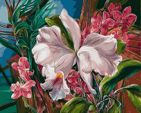 Moteriškas piešimas su skaičiais tapyba pagal numerius -   Tropinės orchidėjos 40x50 cm + Medinis Rėmas