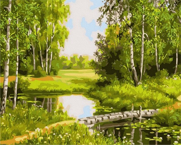 Neutralus  piešimas su skaičiais tapyba pagal numerius -   Miško atspindys 40x50 cm + Medinis Rėmas