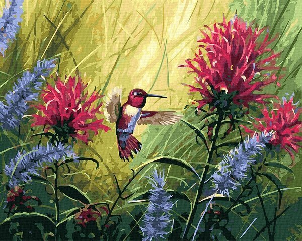 Moteriškas piešimas su skaičiais tapyba pagal numerius -   Kolibris žydint 40x50 cm + Medinis Rėmas