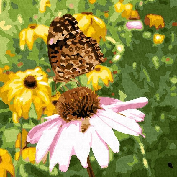 Moteriškas piešimas su skaičiais tapyba pagal numerius -   Drugelis ant gėlių 30x30 cm + Medinis Rėmas