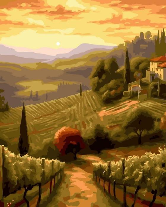 Neutralus  piešimas su skaičiais tapyba pagal numerius -   Toskanos vynuogynų kraštovaizdis 40x50 cm + Medinis Rėmas