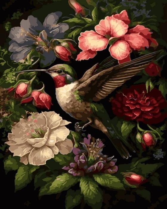 Moteriškas piešimas su skaičiais tapyba pagal numerius -   Kolibris tarp žiedų 40x50 cm + Medinis Rėmas