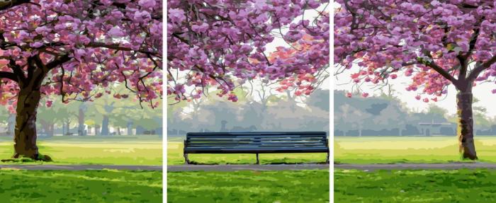 piešimas su skaičiais tapyba pagal numerius -   Pavasaris parke – suoliukas po sakura žiedais 40x50x3 cm + Medinis Rėmas
