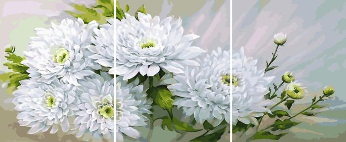 piešimas su skaičiais tapyba pagal numerius -   Baltos chrizantemos 40x50x3 cm + Medinis Rėmas