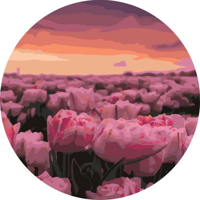 Moteriškas piešimas su skaičiais tapyba pagal numerius -   Rožinių žiedų laukas sutemus 40x40 cm + Medinis Rėmas