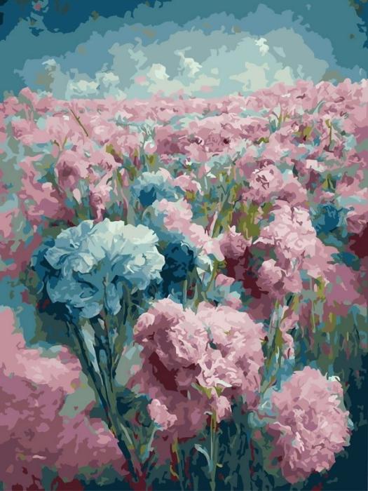 Moteriškas piešimas su skaičiais tapyba pagal numerius -   Žydintis bijūnų laukas 30x40 cm + Medinis Rėmas