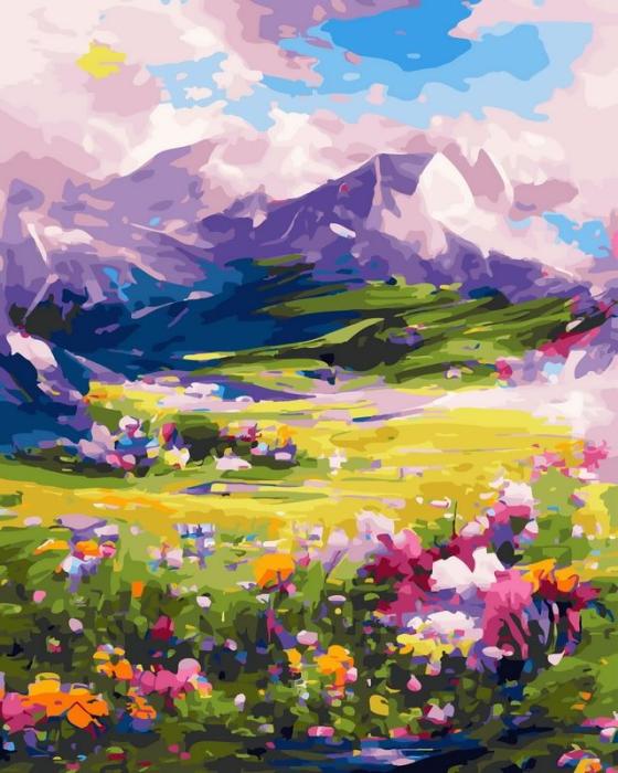 Moteriškas piešimas su skaičiais tapyba pagal numerius -   Kalnų pieva su gėlėmis 40x50 cm + Medinis Rėmas